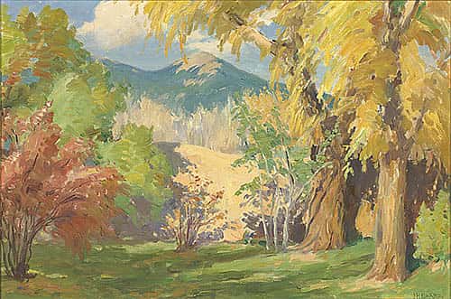 An Old Garden in Taos